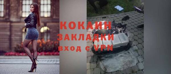 молекула духа Алексин