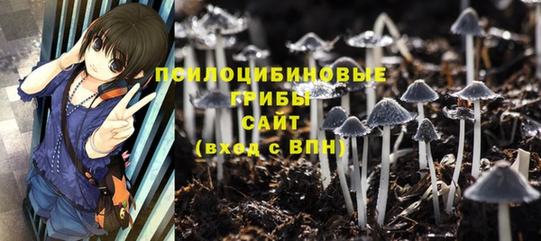кокс Алексеевка