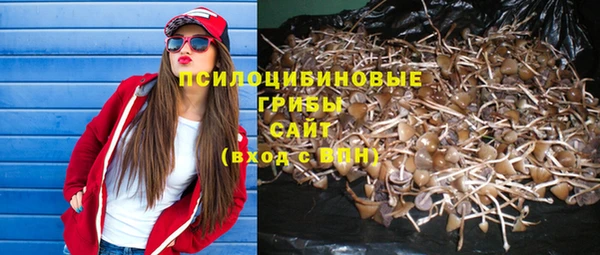 кокс Алексеевка