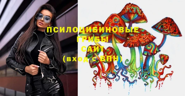 mdma Новодвинск