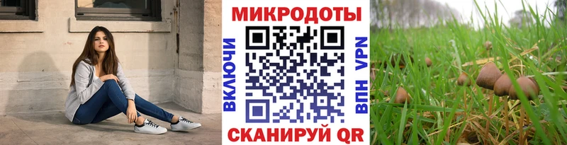 Галлюциногенные грибы прущие грибы  Отрадная 