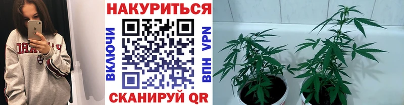 мега как войти  Отрадная  Конопля семена  где продают наркотики 